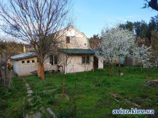 Дача, Новые Петровцы