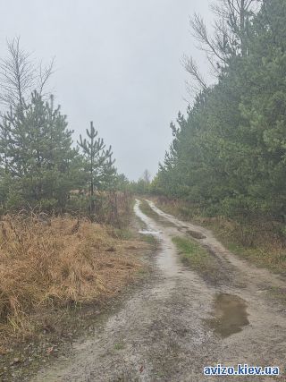 Продажа участка