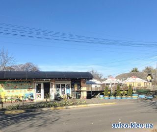 Магазин, Катюжанка