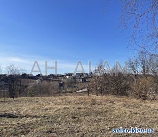 Продажа дома, Лесники