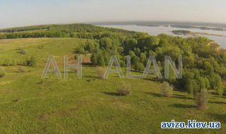 Дом, Стайки