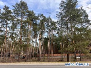 Продажа участка, Козин