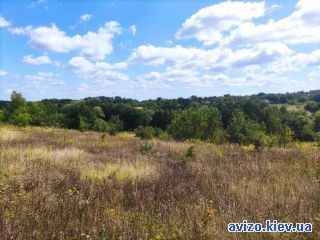 Продается участок, Богуслав