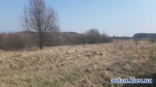 Продаю землю, Воронков