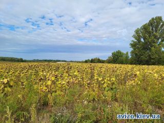 Земля, Воронков
