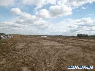 Продается земля, Воронков