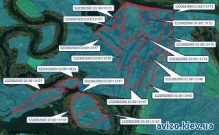 Продам землю, Борисполь