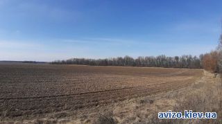 Продаю землю, Сеньковка