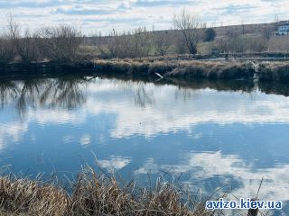 Аренда участка