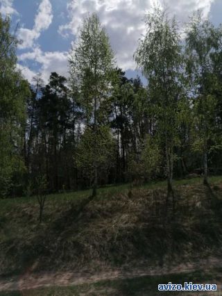 Продаю дом, Чернин