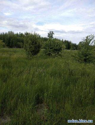 Продажа ОСГ