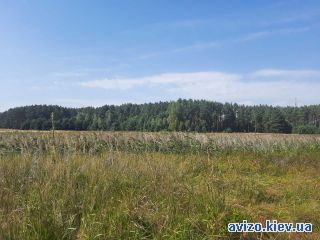 Продам ОСГ, Дымер