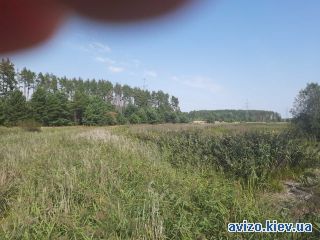 Продаю ОСГ, Литвиновка