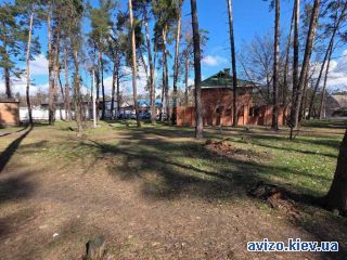 Торговая площадь, Буча