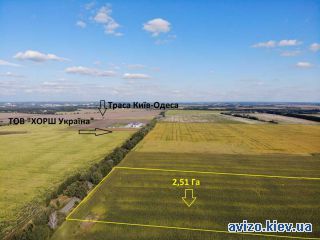 Продажа земли, Великая Солтановка