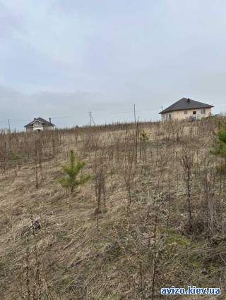 1011720 продаж ділянка під житлову забудову Броварський, Рожівка, 1600