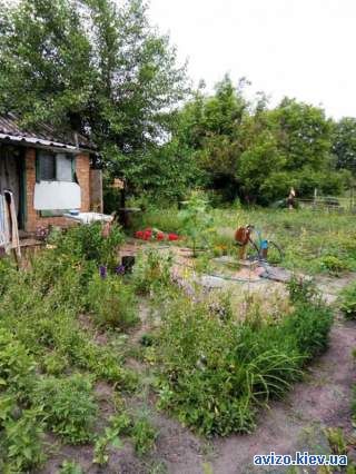 Продається дача с. Чепиліївка не далеко від залізничної станції