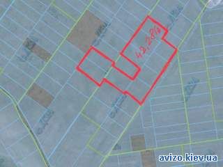 Продам землю 43 га в Макаровском районе,с.Фасовая