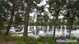 Продам 6 соток с выходом на затоку р.Десна в с.Осещина,свой пляж