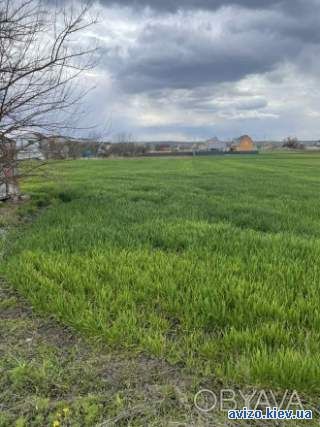 Продаж земельної ділянки в с. Томилівка (Білоцерківський район, Київська область