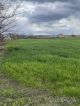 Продаж земельної ділянки в с. Томилівка (Білоцерківський район, Київська область
