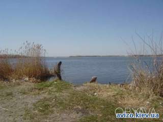 Участок, 816 сот