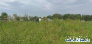 Продам зем.участок 25 сот, с.Перегуды, Бориспольский р-он
