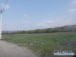 Продам зем. участок 18 км. от Киева, с. Лука, Киево- Святошинский р-он