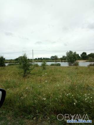 Продам 27 сот с. Перегуды, Бориспольский р-он, 35 км. от Киева