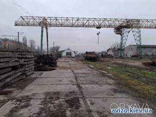 Коммерческое назначение, Голосеевский