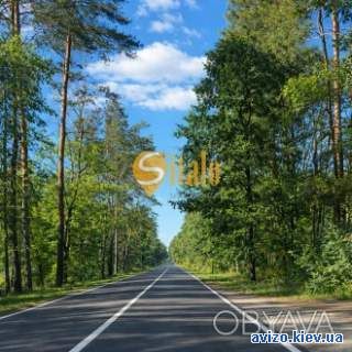 Участок, 12 cотка