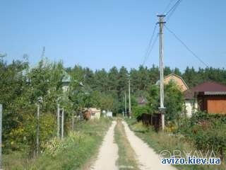 Продам 2 отличных 9 и 9.5 соток участка, лес со всех сторон.