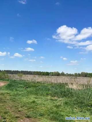 ділянка сільськогосподарського призначення Бучанський, Озера, Нова